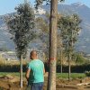 senza titolo-16